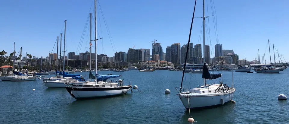 Sailboats moored on blue water with the San Diego skyline behind them on a clear day