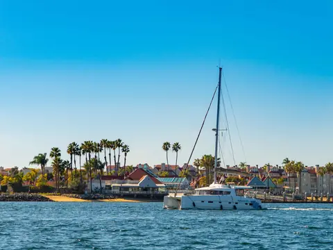 A catamaran passing a palm-lined shore on bright blue water