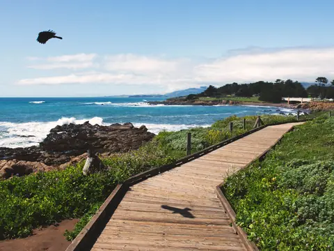 A wooden boardwalk path along a rocky coast under a blue sky