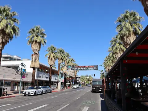 Shops and palm trees along a commercial street under a bright blue sky