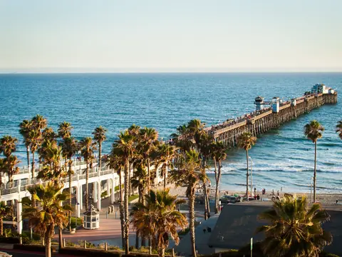 Palm trees and a long wooden pier on a sunny stretch of coast